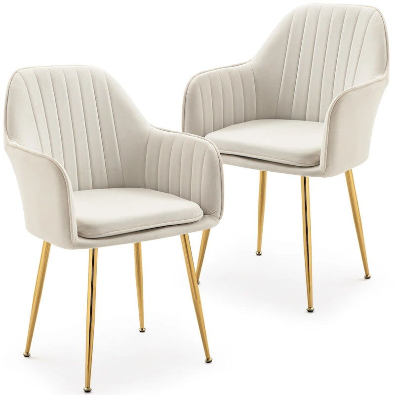 Paire de chaises d'appoint en velours pour salle à manger